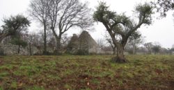 Trulli