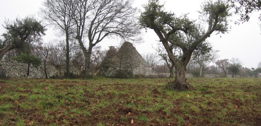 Trulli