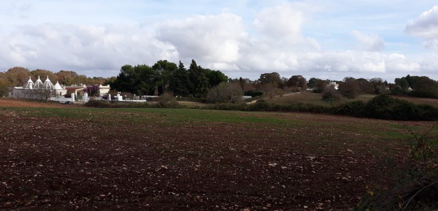 Terreno con progetto
