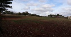 Terreno con progetto