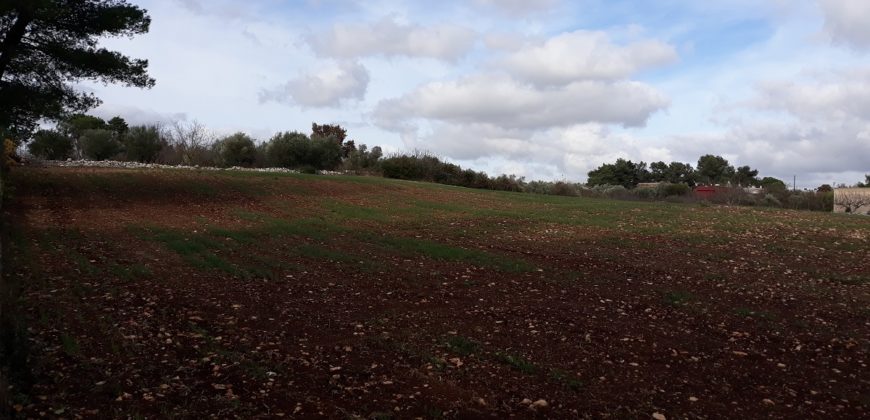 Terreno con progetto
