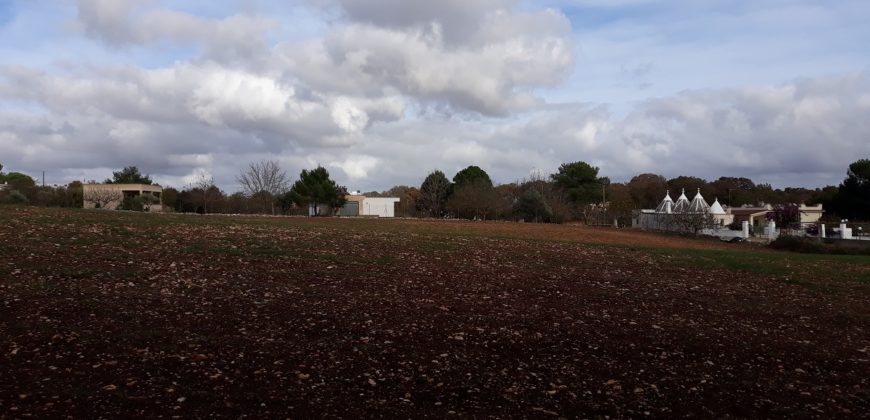 Terreno con progetto